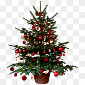 Renders De Navidad , Png Download - Things We See During Christmas, Transparent Png - arbolito de navidad png