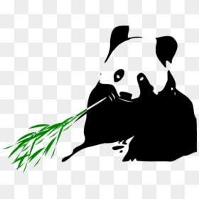 Panda On Bamboo Png, Transparent Png - panda cartoon png