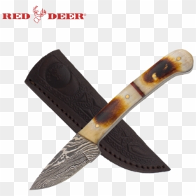 7 In Red Deer® Hunting Knife Real Bone Handle - Cherokee Knives, HD Png Download - real bone png