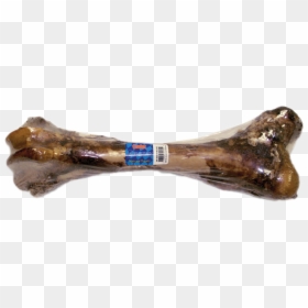 Monster Bone, Big Dog Bone, Bone For Large Dogs, Femur - Bone, HD Png Download - real bone png