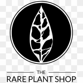 Rare Plant Shop Logo, HD Png Download - philodendron png