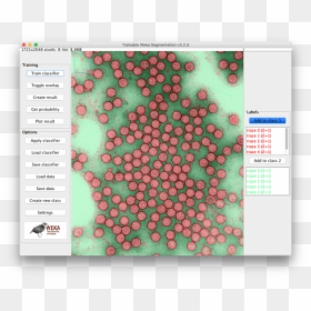 Screenshot, HD Png Download - green particles png