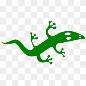 Lagartija Clipart, HD Png Download - reptiles png