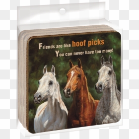 Ec04861 Hoof Picks Ecocoaster Set"  Title="ec04861 - Welcome Horse, HD Png Download - horse hoof png