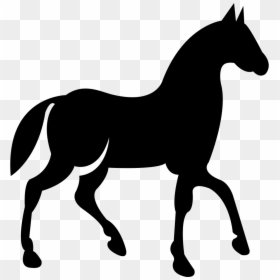 Horse Riding Icon Vector Png, Transparent Png - horse hoof png
