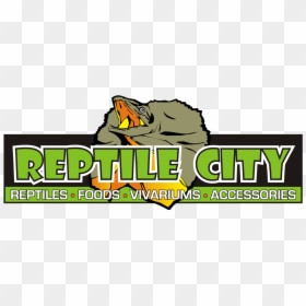 Clip Art Reptile Logos - Reptile City, HD Png Download - reptiles png
