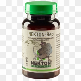Nekton E, HD Png Download - reptiles png