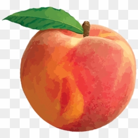 Peaches With Leaf Png - Peach Png, Transparent Png - orange leaf png