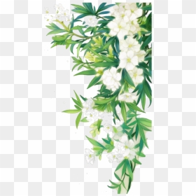#white #flower #nature #border #leaves #landscape - White Flower Png, Transparent Png - nature border png