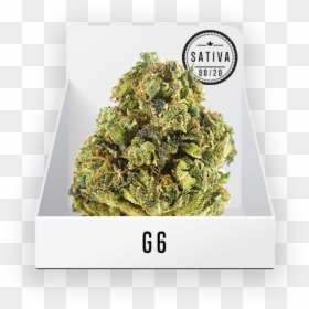 Tung-ting Tea, HD Png Download - weed bud png