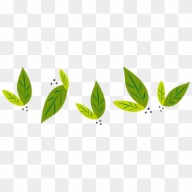Nature Leaves Png High Quality - Nature Png, Transparent Png - nature border png