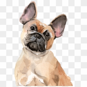 Dog Tote Bag - Bulldog, HD Png Download - cool dog png