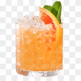 Mai Tai, HD Png Download - cool dog png