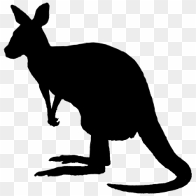 Kangaroo Silhouette Png Image - Kangaroo Silhouette Png, Transparent Png - golf silhouette png