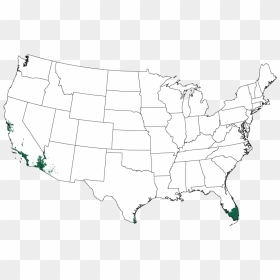 Transparent Coffee Plant Png - Large Us Map With State Names, Png Download - coffee plant png