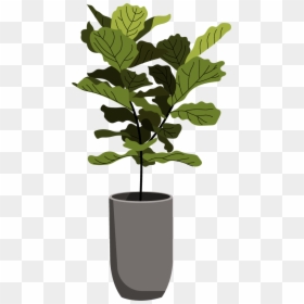 Basket, HD Png Download - coffee plant png