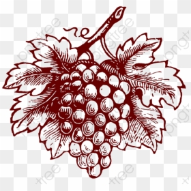 Grapes Clipart Realistic - Grapes Illustration Png, Transparent Png - grapes clipart png