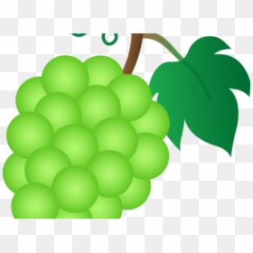 Transparent Individual Clipart - Green Color Grapes Clipart, HD Png Download - grapes clipart png