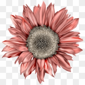 You Are My Sunshine Sunflower Png, Transparent Png - destellos azules png