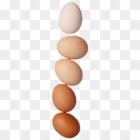 #huevos - Soy Egg, HD Png Download - huevos png