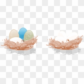 Ninho Com Ovos Png, Transparent Png - huevos png