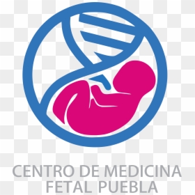 - Logo De Centro De Capacitacion , Png Download - Emblem, Transparent Png - proximamente png