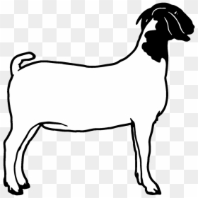 Goat Dairy Goats Clip Art Danaspda Top Transparent - Clip Art Boer Goat, HD Png Download - dairy png