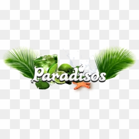 Paradisos Cyprus Beach, Cyprus Beach Venue, Cyprus - Illustration, HD Png Download - beach grass png