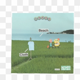 Grass, HD Png Download - beach grass png