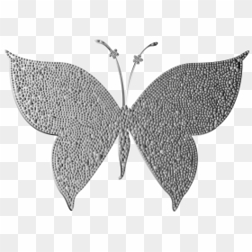 Transparent White Butterfly Png - Gold Butterfly Png Logo, Png Download - black and white butterfly png