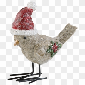 Bird With Christmas Cap - Rooster, HD Png Download - christmas cap png