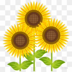 Sunflower Bright Three Clipart Free Picture Transparent - Sunflower Clipart, HD Png Download - sunflower frame png