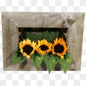 Sunflower, HD Png Download - sunflower frame png