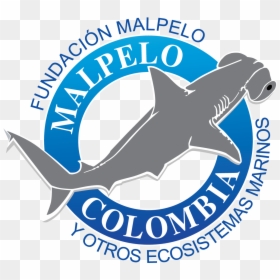 Fundacion Malpelo, HD Png Download - pintura salpicada png