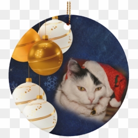Cat Ornaments Black And - Not Christmas Yet Still November, HD Png Download - xmas ornaments png