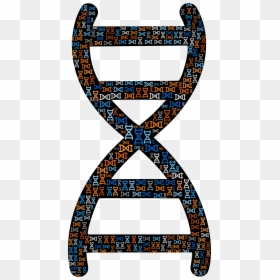 Dna Helix Png - Dna Structure Image Png, Transparent Png - dna clipart png