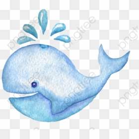 Blue Whale Clipart - Whale Clipart Watercolor, HD Png Download - marinero png
