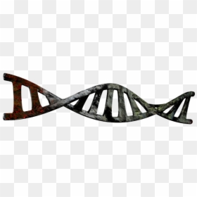 Dna Helix Clipart - Double Helix No Background, HD Png Download - dna clipart png