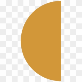 Curatorial Learning Bureau Semicircle 2, HD Png Download - semicircle png