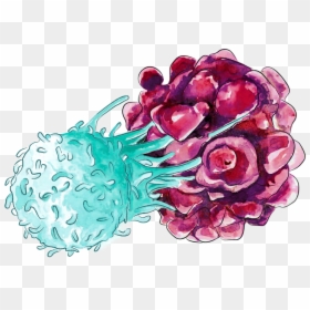 Illustration, HD Png Download - cancer cell png