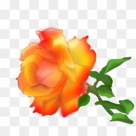 Transparent Paint Spray Gun Clipart - Garden Roses, HD Png Download - chinese flower png