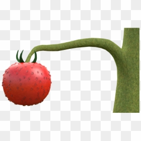 Tomato Plant Png - Strawberry, Transparent Png - strawberry plant png