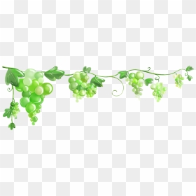 Leaves Clipart Grape - กรอบ ดอกไม้ สี เขียว, HD Png Download - grape leaves png