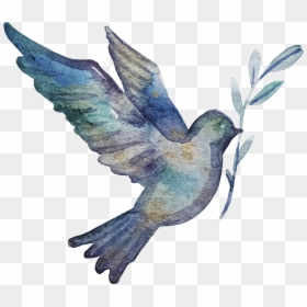 Clip Stock Communion Vector Hand Painted Bird Transprent - Watercolor Bird Png, Transparent Png - watercolor bird png