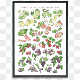 Rebsville Fruit Grown British Isles Print Cutout, HD Png Download - strawberry plant png