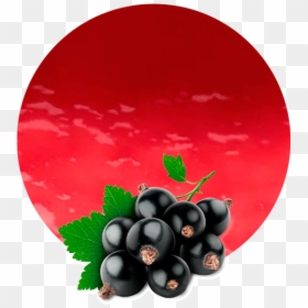 Black Currant No Background, HD Png Download - grape leaves png