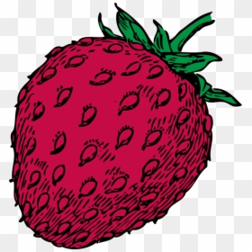 Seedless Fruit,plant,food - Strawberry Clip Art, HD Png Download - strawberry plant png