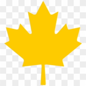 Ml Maple Leaf - Canada Red Maple Leaf, HD Png Download - maple leaves png