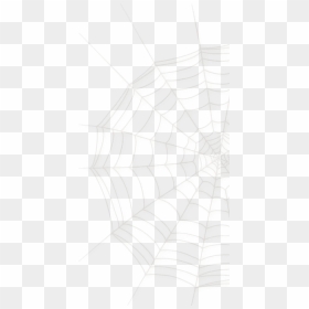 Spider Web, HD Png Download - araña png