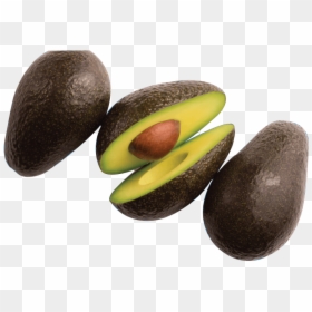 Avocado, Avocados Good Fats Avocados From Mexico - Aguacate Png, Transparent Png - avocados png